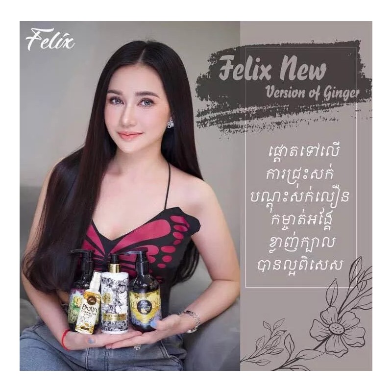 Felix 1 Set Felix Professional Hair Care ឈុតសាប៊ូកក់សក់