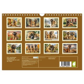 Der Leonberger. Majestätische Löwenhunde im Licht der Natur (Wandkalender 2026 DIN A4 quer), CALVENDO Monatskalender