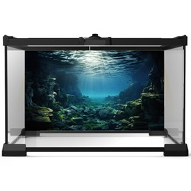 Aquarium Backdrop Underwater Coral Reef with Fishes Sun Rays Terrarium Background Under Water Rocks with Moss Fish Tank Backdrop Aquarium Wallpaper Poster Decor Vinyl 36x18in