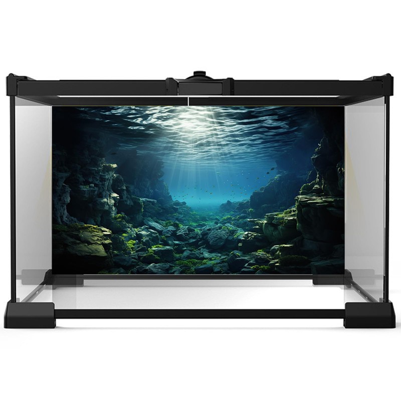 Aquarium Backdrop Underwater Coral Reef with Fishes Sun Rays Terrarium