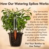 Upforesy 6 Pack Terracotta Watering Spikes for Indoor and Outdoor