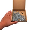 SKIR'CO (300 pcs) Zinc Plated Steel Wood Screws 3.0 x
