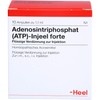 ATP Injeel Forte Ampoules Pack of 10