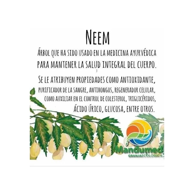 Mandumed Neem Orgánico – Detox, Defensa Inmune y Bienestar General