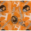 Tennessee Volun-teers Dog Bandana (XX-Small)