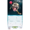 Underwater Dogs 2026 Wall Calendar, 16-Month Funny Dog Photography Calendar