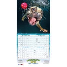 Underwater Dogs 2026 Wall Calendar, 16-Month Funny Dog Photography Calendar by Seth Casteel, 12" x 12"