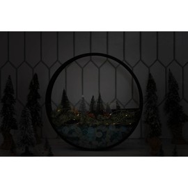 Holiday Kit - Wall Terrarium Kit