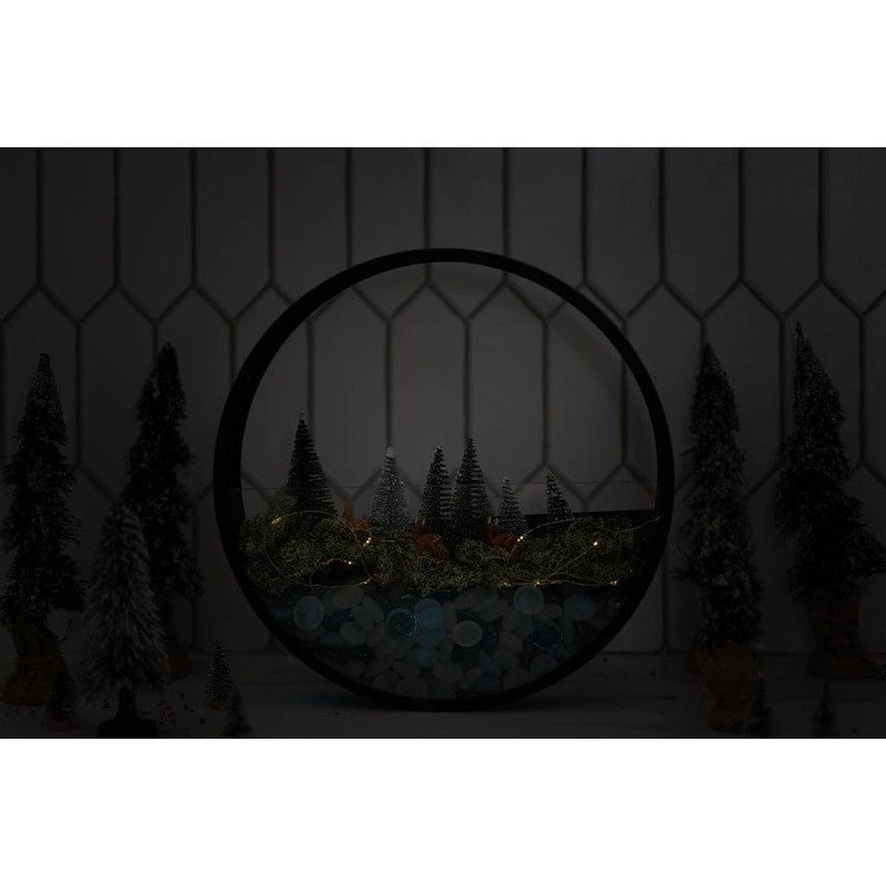 Holiday Kit - Wall Terrarium Kit