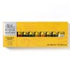 Winsor and Newton 2190517 Galeria Acrylic 10 Pieces Tube Colour