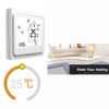 Staright Wi-Fi Smart Thermostat Temperature Controller APP Control 5A Compatible