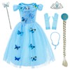 Party Chili Princess Costume for Little Girls Birthday,Christmas Dress Up