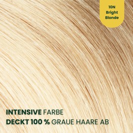 Herbal Time Phytocare Nourishing and Permanent Hair Colour Light Blonde 10N Professional Natural Hair Colour Nourishes and Protects Your Hair Without Ammonia, PPD, SLS, Parabens