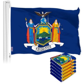 G128 5 Pack: New York NY State Flag | 3x5 Ft | LiteWeave Pro Series Printed 300D Polyester | Indoor/Outdoor, Vibrant Colors, Brass Grommets, Thicker and More Durable Than 100D 75D Polyester