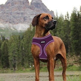 AIITLE Choke-Free Purple Dog Harness with Triple-Layer Mesh, Reflective & Adjustable Chest Belt, Easy On/Off for Pekingese, Schnauzer – Durable for Daily Walks, Parties (L, Purple)