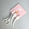 [JHQRSMU2_4B] White Set 3-Piece Eyebrow Care Eyebrows / [JHQRSMU2_4B]화이트 세트 3종 눈썹관리 눈썹