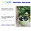 SteadySpring(R) Smart 30+Day Watering Mat Auto Refills with Rain for