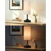 EZVALO Cordless Table Lamp, Ambient Light, Dimmable, Touch, Timer, 2700K,