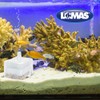 Lomas FILTRO INTERNO DE CAJA TRANSPARENTE 25 L