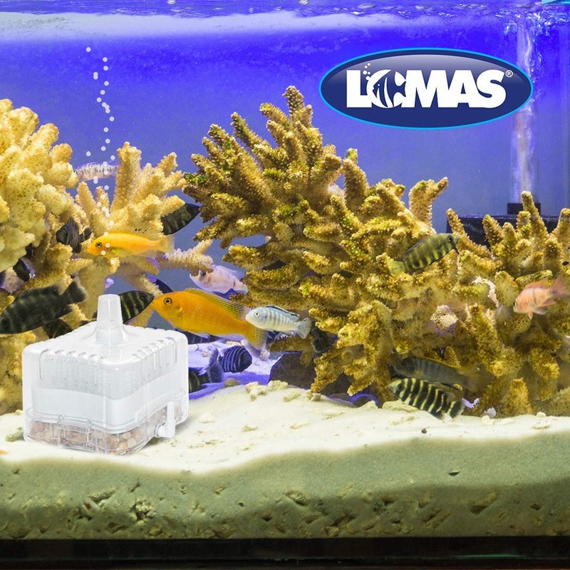 Lomas FILTRO INTERNO DE CAJA TRANSPARENTE 25 L
