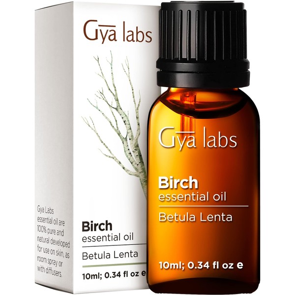 Gya Labs Birch Essential Oil - Sweet, Minty & Camphorous Scent (0.34 fl oz)