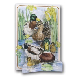 The Pictoria Press Mallard Ducks - Birds - a 3D Pop Up Greeting Card from