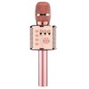 Wireless Bluetooth Karaoke Microphone with Built-In Speaker – Portable Singing