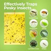 Fruit Fly Trap (20 Pack), Double-Sided Yellow Sticky Traps (Indoor