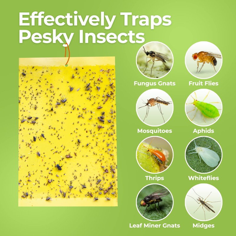 Fruit Fly Trap (20 Pack), Double-Sided Yellow Sticky Traps (Indoor