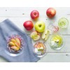Aderia Tsugaru Vidro FS-71562 Free Cup 9.1 fl oz (270
