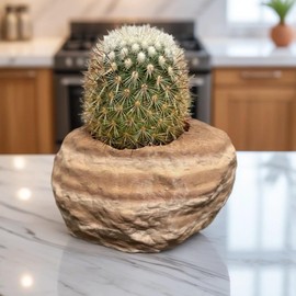 Rock Shaped Plant Pot, Stone Shaped Planter for Succulents, Cactus, and Indoor Plants, Natural Textured Design, Decorative Pot, Cute Plant Pot for Home, Office, Shelf, Tabletop, Entryway (Sandstone)