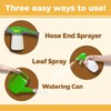 Palm Tree Fertilizer for All Palms and Ferns, Liquid Plant