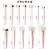 Makeup Brushes Set of 12 with Makeup Pouch, Makeup Brushes,
