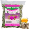 Cardo Mariano - Milk Thistle Loose Tea (1 pound/16.1 oz)