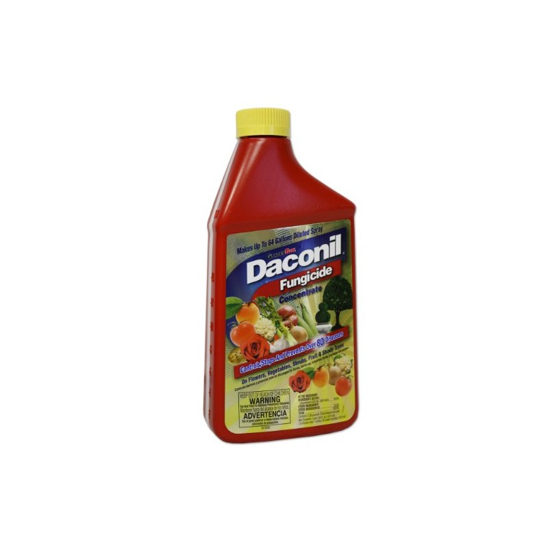 Daconil® Fungicide Concentrate for Insects 16 oz. - 100523634