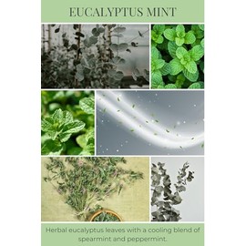 Eco Candle Co. Room & Linen Spray, Eucalyptus Mint, 8 oz. - Scents of Eucalyptus, Spearmint, & Peppermint - Recycled Aluminum Bottle, No Propellents, Pump Top, All Natural Ingredients