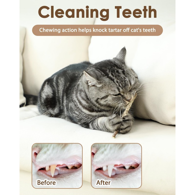 Nepfaivy Cat Toys for Indoor Cats - Silvervine Stick Cat