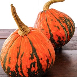 Organic Lakota Squash - 2 Grams ~10 Seeds - Organic, Heirloom, Open Pollinated, Non-GMO, Farm & Vegetable Gardening Seeds - Winter Squash
