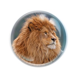 Magnidome - Lion Magnet from Deluxbasee. Crystal Glass Fridge Magnet. Cute Round and Strong Magnets for Refrigerator Magnets, Home Decor. and Animal Magnets for Locker Decorations for Kids