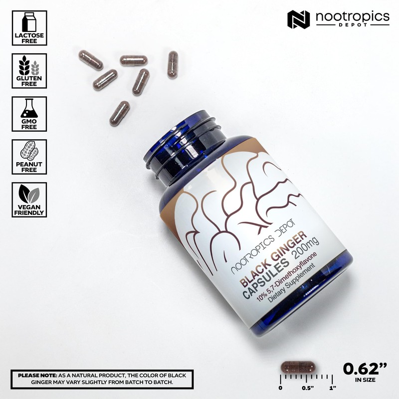 Nootropics Depot Black Ginger Extract Capsules | 10% 5,7-dimethoxyflavone |