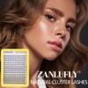 Cluster Lashes Natural Eyelash Clusters CC-Curly Eyelash Extension Wispy Individual