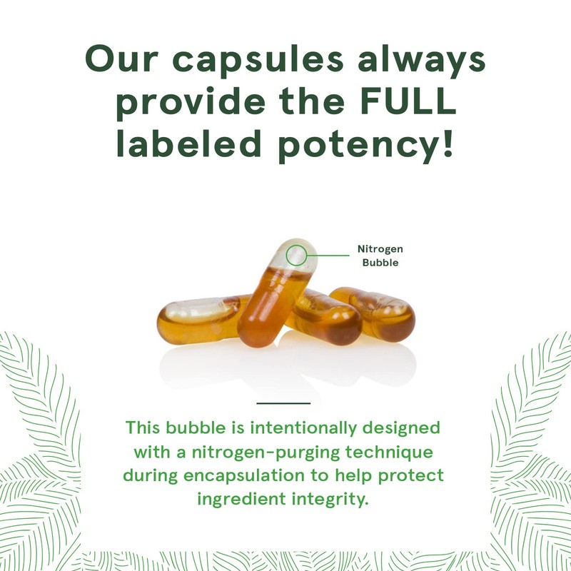 Deva Nutrition Deva Vegan DHA-EPA Delayed Release 90 Count