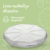 Pizza Box ToGo Plastic - Box for Home & Catering
