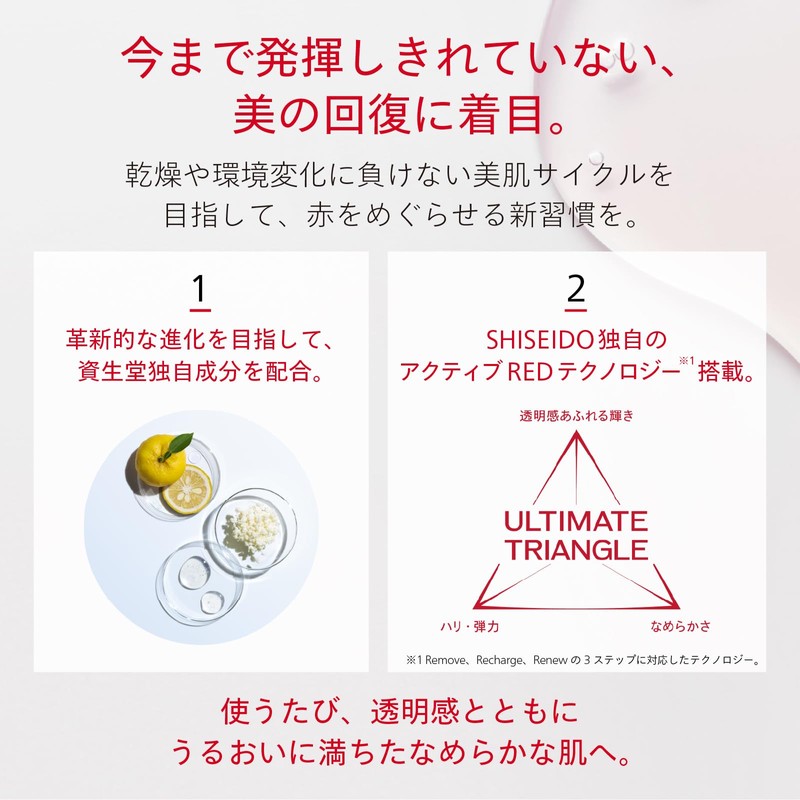 SHISEIDO Eidelmin Essence Lotion (Refill), 5.1 fl oz (145 ml)