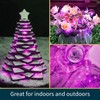 LAMPHOME 6 Pack Fairy Lights Battery Operated String Lights 6.6ft