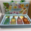 Emper NEW Blooming Fantasy Collection Perfume Set | 4 x
