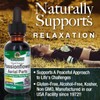 Nature's Answer Passion Flower | Super Concentrated | Liquid Herbal