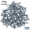GET SET DIY Galvanised Clout Nails 13mm - Roofing Felt