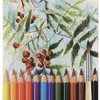 KOH-I-NOOR Mondeluz Watercolour Pencil Case – Pack of 12 Colour