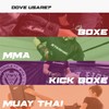 Starpro Boxing Headguard - PU leather - Muay Thai Kickboxing